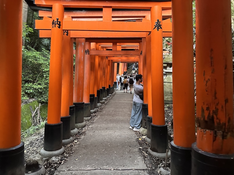 Torii Gate